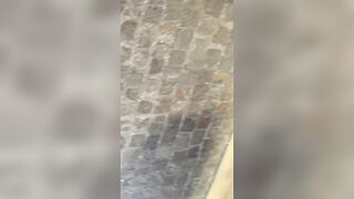 Alla scoperta di maialate