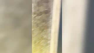 Alla scoperta di maialate