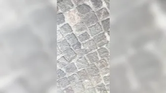 Shanti granati vedo porno video porno su ItPornIt