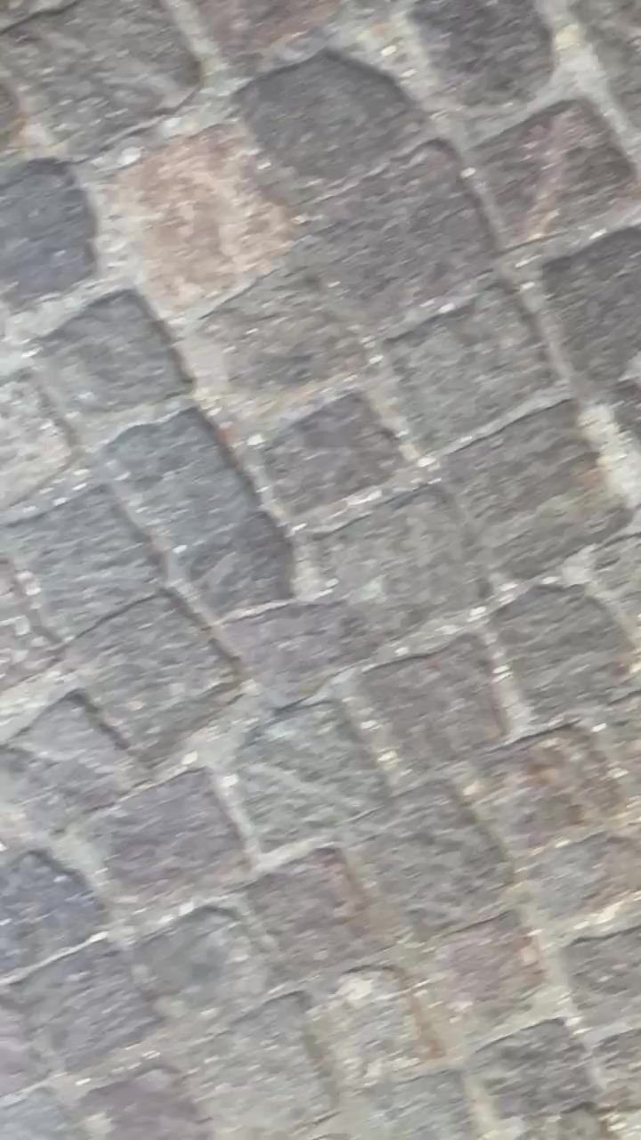 Alla scoperta di maialate