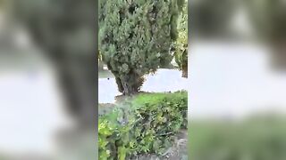 Scusate il disturbo! Abbiamo esagerato ci vestiamo subito Beccati a scopare nel parco