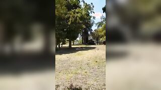 Scusate il disturbo! Abbiamo esagerato ci vestiamo subito Beccati a scopare nel parco