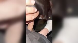 Pompino all'aperto con venuta in bocca