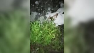 Pompino all'aperto moglie cuckold con due singoli