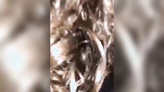 Pompino fidanzata fica con belle tette