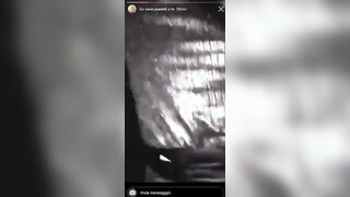 Vanessa scopata a pecora