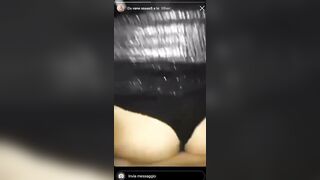 Vanessa scopata a pecora