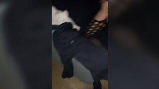 Moglie milanese incaprettata da bull