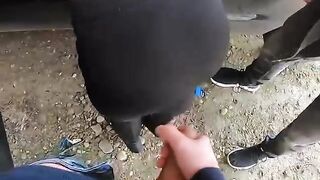 Schizzata sul culo dai guardoni