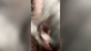 Ma che cazzo di ce devi fa con questo video? Lo metti da qualche parte