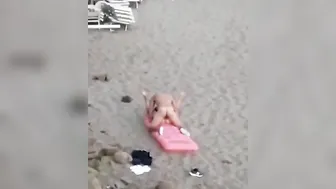 In hotel a PALERMO video porno su ItPornIt