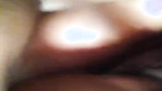 Scopata focosa italiana