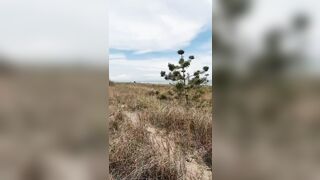 Due passi al mare e...