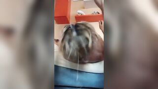 Scopo la bocca a Monica transex