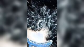 Pompino doppio moglie cuckold troia