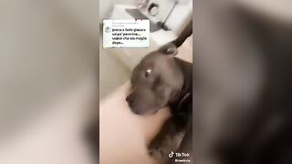 Naelkyta Elena Chirita raccolta video hot tiktok