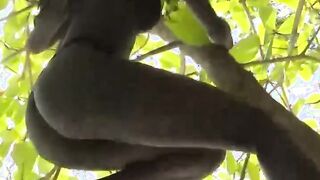 Khady Gueye da spettacolo sull'Isola