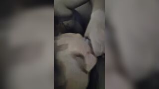 La voglia di mia moglie zoccola che spompina avidamente