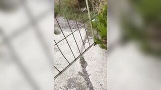 Beccati mentre la morosa mi sta succhiando il cazzo in campagna