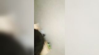 QUANTO SEI TROIA DILLO