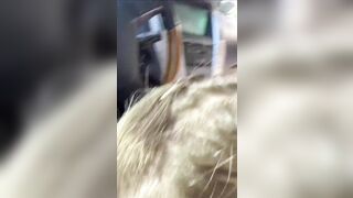 Ragazza italiana fa un pompino in auto al suo ragazzo