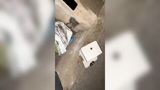 Pompino giovane fidanzata italiana scopata a pecorina all'aperto