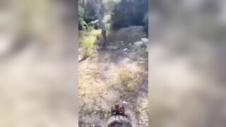 Pompa Milf italiano nel bosco of