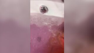 Bocchino in vasca troia italiana