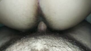 La mia vacca pelosa Pov