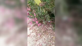 Pompino all'aperto rossa italiana POV