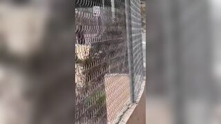 Non sono una troia ma quanto è bello far rizzare i cazzi