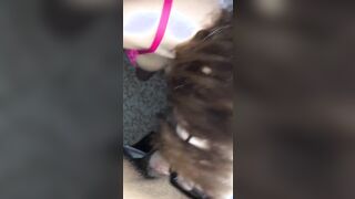 La mia ragazza me lo spompina per bene