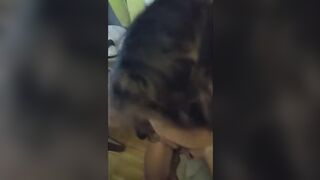 Sono una puttana! Dillo ancora