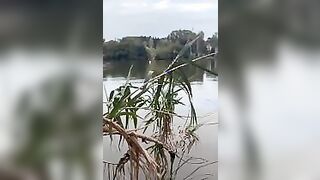 Pompino tettona romana in barca in laguna - FAMMI SUCCHIARE QUESTO PESCIONE OF