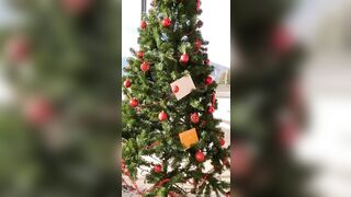 Mady buon Natale tettona OF