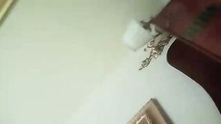 Che figura di merda se non mi fai arrapa! Vai di bocca vai