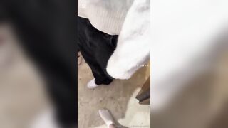 Babbo Natale per le Calippogirl