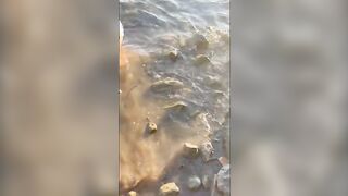 Il piacere di scoparla ovunque