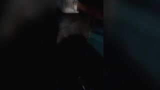 Scopata nel bagno pubblico del locale coppia italiana