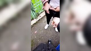 Non ti ha mai fatto un pompino una sconosciuta? Sali in auto che ti faccio sborrare