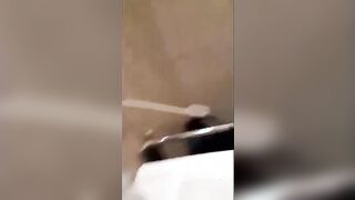 Si filma mentre la scopa nel bagno a pecorina