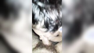 Bocchino moglie troia