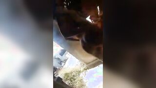 Guardate che bel culo e che bella fica