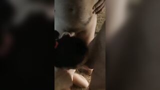 Amica succhia due cazzi