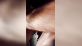 Carsex italiano moglie impalata all'aperto dal bull