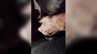 Carsex italiano moglie impalata all'aperto dal bull