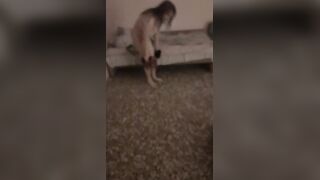 La escort asiatica scopata a Bologna