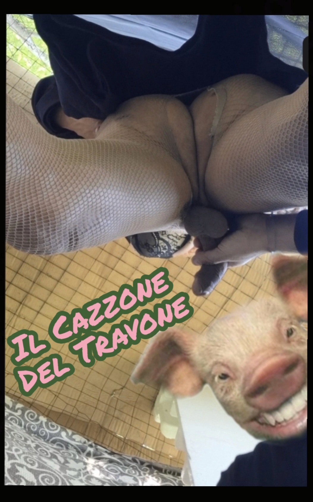 Il cazzone del travone tutto nel culo