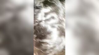 Fammi un pompino e poi scopami per bene zoccola