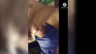 Sega coi guanti moglie napoletana